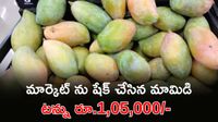 Mango Rates: రైతులకు పండగే ఇంక.. తోతాపురి మామిడికి మార్కెట్లో రికార్డ్ రేట్లు! Mango Rates: రైతులకు పండగే ఇంక.. తోతాపురి మామిడికి మార్కెట్లో రికార్డ్ రేట్లు!