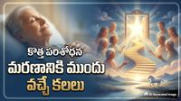 చనిపోయే ముందు అందరికీ ఒకేలాంటి కలలు వస్తాయా?