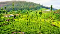 సమ్మర్ లో 'ఊటీ' టూర్.. బడ్జెట్ ధరకే ఫుల్ ఎంజాయ్ మస్తీ మజా..