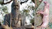 బ్రహ్మం గారు చెప్పిందే మళ్లీ నిజమైందా ? పంది కడుపున ఏనుగు పిల్ల జననం ??