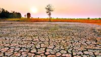 Super El Nino:  రుతుపవనాలు మాయం? రైతన్నలు తీసుకోవాల్సిన జాగ్రత్తలివే!