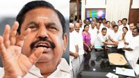 Tamil Nadu: నిలువుగా చీలిన అన్నాడీఎంకే-పళనిస్వామిపై 30 ఎమ్మెల్యేల తిరుగుబాటు..!