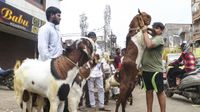 బక్రీద్ వేళ ఊహించని షాక్! మేకలకు జ్వరం, విరేచనాలు..