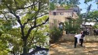 Viral Video: నోట్ల వర్షం కురిపించిన కోతి.. ఎగబడి ఏరుకున్న జనం