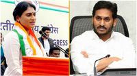 అసెంబ్లీ బరిలో షర్మిల, నియోజకవర్గం ఫిక్స్ - అసలు టార్గెట్..!!