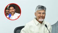 పాత కేసులపై చంద్రబాబు కీలక వ్యాఖ్యలు! ప్రభుత్వంపై కుట్రలు..