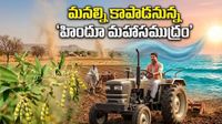 రైతులకు విజ్ఞప్తి: కంది పంటకు ఎల్ నినో గండం!
