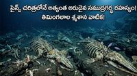 అస్థిపంజరాలు చెప్పిన ఏళ్ల నాటి రహస్యం.. గూస్ బంప్స్ తెప్పించే వింత!