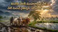 మృగశిర కార్తె వచ్చేసింది! ఈ రోజు చేపలు తింటే సూపర్ పవర్