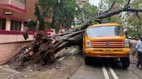 ఘోర ప్రమాదం.. స్కూల్ బస్సుపై కూలిన భారీ వృక్షం! 