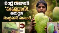రాష్ట్రపతులు మెచ్చిన 'నూర్జహాన్'.. దేశంలో మిగిలింది మూడే!