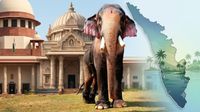 ఏనుగు కోసం సుప్రీంకోర్టు తీర్పు! కస్టడీకి ఇస్తూ కామెంట్స్