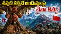 రుద్రాక్షలపై చైనా కన్ను.. శివుడి కన్నీటి బిందువుల గోడు!