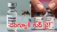 భారత్లో తొలి డెంగ్యూ వ్యాక్సిన్కు డీసీజీఐ గ్రీన్ సిగ్నల్!