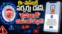 EPFO: చేతులెత్తేసిన వెబ్ సైట్. మీ పాస్ బుక్ ఓపెన్ అవుతుందా?