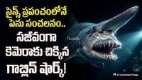 డైనోసార్ల కాలం నాటి వింత జీవి.. సముద్ర గర్భంలో అరుదైన  రహస్యం!