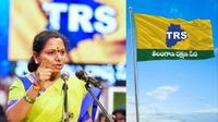TRS పార్టీకి గుర్తింపునివ్వండి! 105 నియోజకవర్గాల్లో జెండా ఎగరేశాం: కవిత