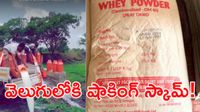  నిర్మా డిటర్జెంట్ పౌడర్‌, పామాయిల్‌తో పాలు:   2.3 కోట్ల లీటర్ల నకిలీ పాల గుట్టు రట్టు! 