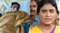 YS Sharmila Health: వైఎస్ షర్మిలకు సర్జరీ- హెల్త్ అప్డేట్ ఇదే..!