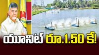 అది చంద్రబాబు మానసపుత్రిక.. అందుకే ఆ రైతులకు శుభవార్త!