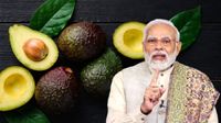 కడప రైతు కిరాక్ ప్లాన్! యూట్యూబ్ చూసి లక్షల లాభాలు.. ప్రధాని ప్రశంసలు