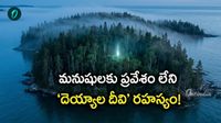 1964లో మొదలైన మిస్టరీ.. 'వాల్ స్ట్రీట్ మంత్రగత్తె' తీరంలో దాగిన సీక్రెట్!