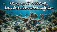 ప్రపంచాన్నే ఆశ్చర్యపరిచిన ఇటలీ మాస్టర్ ప్లాన్! పీతల రక్తం తాగే ఆక్టోపస్లు!