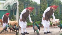 మోదీకి వీడ్కోలు పలికిన మూగజీవాలు.. 
