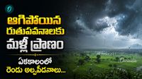 El Nino ను ఢీకొడుతున్న రుతుపవనాలు...అల్పపీడనాల జోడు గుర్రాల స్వారీ! El Nino ను ఢీకొడుతున్న రుతుపవనాలు...అల్పపీడనాల జోడు గుర్రాల స్వారీ!