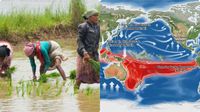 Monsoon: ఆగస్టులో అనూహ్యంగా మారిన సీన్- రైతులకు ఊరట- కేంద్రం తాజా రిపోర్ట్..!