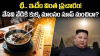 కుక్క మాంసంతో సూప్.. వడ దెబ్బకి విరుగుడు? కిమ్ సంచలన ఆదేశాలు