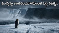 మంచు ఖండంలో మరణమృదంగం.. దక్షిణ ధ్రువంలో ఊహించని విపత్తు..