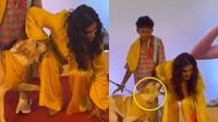 ఆ హీరోయిన్ను కుక్క కరిచిందా?: వైరల్ వీడియోపై మౌనం వీడిన బ్యూటీ! ఆ హీరోయిన్ను కుక్క కరిచిందా?: వైరల్ వీడియోపై మౌనం వీడిన బ్యూటీ!