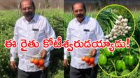 Success Story: పదో తరగతే చదువు.. ఏడాదికి 5 కోట్ల సంపాదన: ఈ రైతు సక్సెస్ సీక్రెట్ ఇదే!