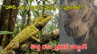 Syrax 'డ్రాగన్' నిజ రూపం: థాయ్లాండ్లో సరికొత్త ప్రాణి గుర్తింపు!