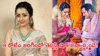 Trisha: 11 ఏళ్ల క్రితం త్రిష పెళ్లి ఎందుకు ఆగిపోయింది? ఎంగేజ్మెంట్ రోజున ఏం జరిగిందంటే? 