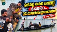 Video: అమ్మ ప్రేమ ముందు ఓడిన నది.. కన్నీళ్లు తెప్పించే తల్లి ఏనుగు ఆవేదన!