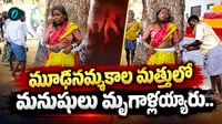 Video: 60 ఏళ్ల అవ్వను చెట్టుకు కట్టేసి ఎలా కొట్టారో చూడండి