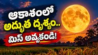 Harvest Moon 2026: ఈ వీకెండ్‌లో ఆకాశంలో అద్భుతం.. ప్రత్యేకతలు ఇవే! 