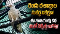రెండు దశాబ్దాలుగా తోడు లేకుండానే.. 'జటాయువు' జీవితంలో ఊహించని మలుపు..