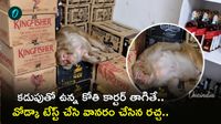 క్వార్టర్ తాగిన కోతి.. వైన్ షాప్ ఓనర్కు షాకిచ్చిన వానరం: VIRAL VIDEO