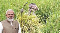 కేంద్ర కేబినెట్ కీలక నిర్ణయం.. రబీ పంటలకు మద్దతు ధర పెంపు