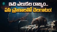 పసి ప్రాణాలను పీక్కుతింటున్న ఎలుకలు! మొద్దునిద్రలో అధికారులు
