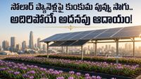 కుంకుమ పువ్వు సాగు ఇక మన ఇంటిపైనే.. సోలార్ నీడలో సరికొత్త ప్రయోగం