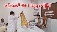 అధికారులారా.. ఈ కుక్కలే నయం! వినూత్న నిరసనతో షాక్!! (వీడియో)