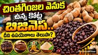 'చింతగింజలకు ఉప్పు': దీని వెనుక ఇన్ని కోట్ల బిజినెస్ ఉందా?  తెలుసుకుంటే షాకే!
