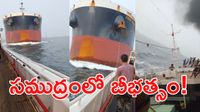 Viral Video: చేపల పడవను ఢీకొట్టిన భారీ నౌక.. కెమెరాలో షాకింగ్ దృశ్యాలు!