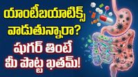 యాంటీబయాటిక్స్ వాడేవారు అస్సలు తినకూడని పదార్థాలు!