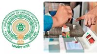 ఈ ప్రాంతాలు స్థానిక ఎన్నికల నుంచి మినహాయింపు - అసలు కారణం..!!
