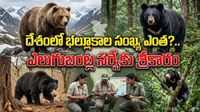 ఎలుగుబంట్ల సర్వే.. దేశ చరిత్రలోనే తొలిసారి లెక్కలు